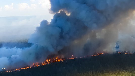 Luftaufnahme eines brennenden Nadelwaldes, von dem eine große Rauchwolke in den Himmel zieht